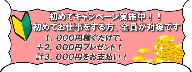 テレフォンレディ、初心者キャンペーン